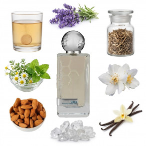 Hormone Paris Gaba
