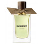 Burberry Oud Storm